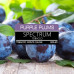 Табак Spectrum Classic line 100г - Purple Plums (Слива)