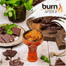 Табак Burn 20г - After Eight (Шоколад с мятой)