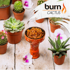 Табак Burn 200г - Cactus (Кактус)