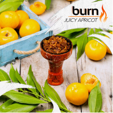 Табак Burn 200г - Juicy Apricot (Спелый абрикос)