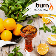 Табак Burn 200г - Lemon Mint (Лимон мята)