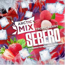 Табак Sebero 25г - Arctic Mix Tropic Berry (Клубника личи ревень лед)