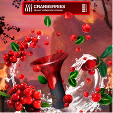 Табак Element Огонь 25г - Cranberries (Клюква)