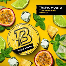 Табак Banger 25г - Tropic mojito (Тропический мохито)