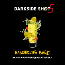 Табак Darkside Shot 30г - Ладожский вайб (Киви Мармелад Земляника)