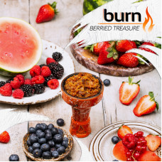 Табак Burn 100г - Berried Treasure (Арбуз малина черника)