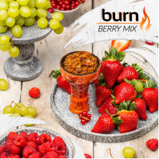 Табак Burn 100г - Berry Mix (Клубника, Малина, Виноград)