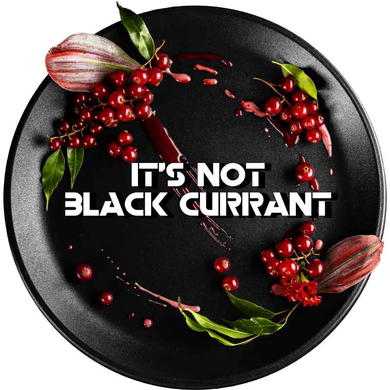 Табак Black Burn 100г - Red Currant (Красная смородина)
