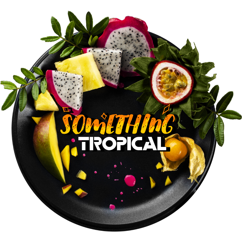 Табак Black Burn 25г - Something Tropical (Что-то тропическое)