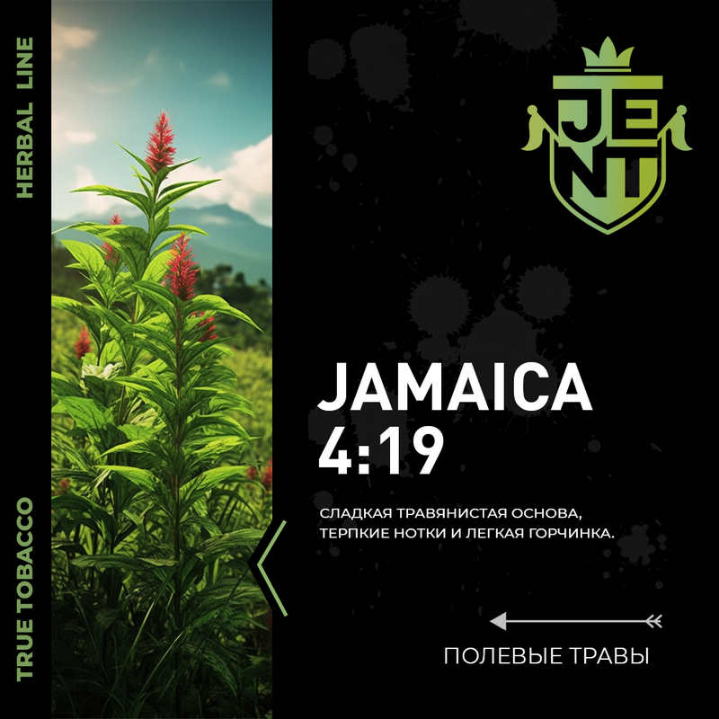 Табак JENT 25г - Jamaica 4 : 19 (Полевые травы)